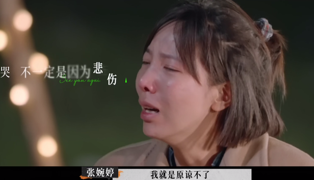 《再见爱人2》：宋宁峰犯了二婚男最致命的错误，难怪张婉婷会疯