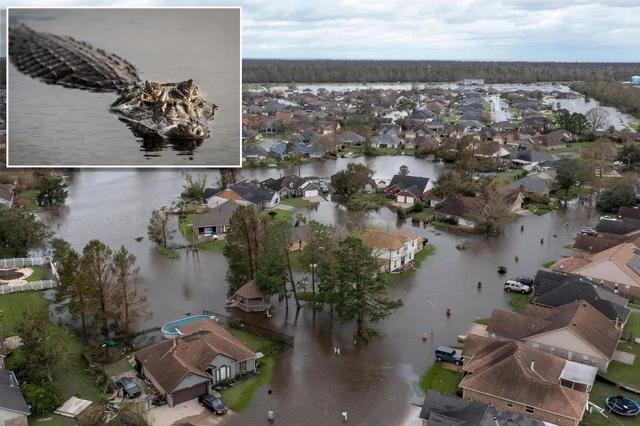 “撤离！”16年后，噩梦再上演......