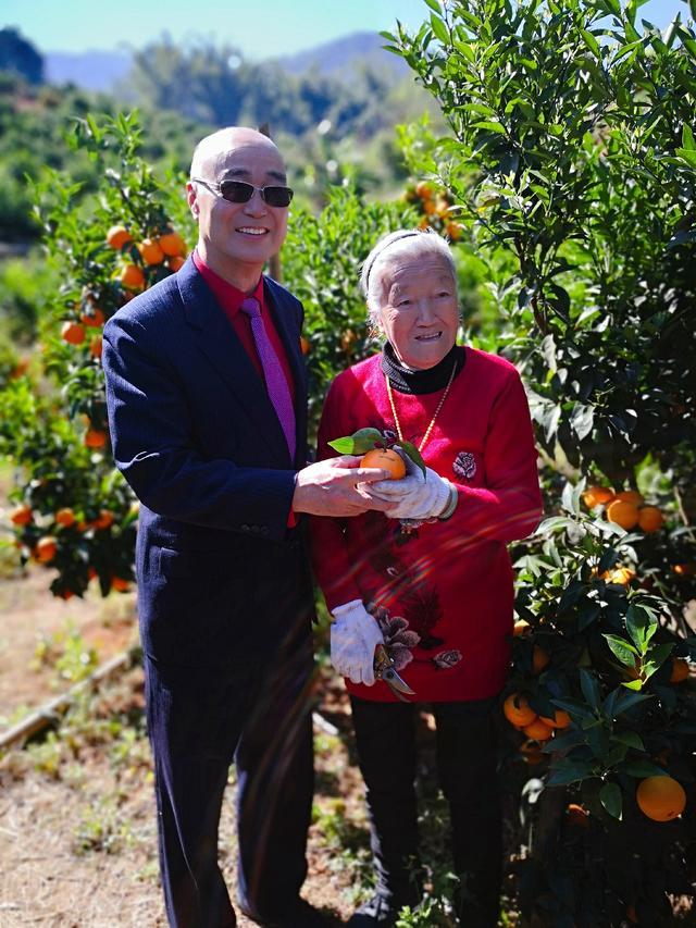 从褚橙到褚柑再到褚酒