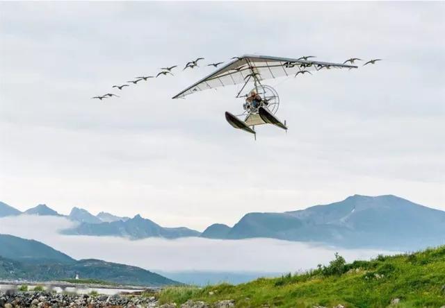 直击心灵的环保电影——《给我翅膀》