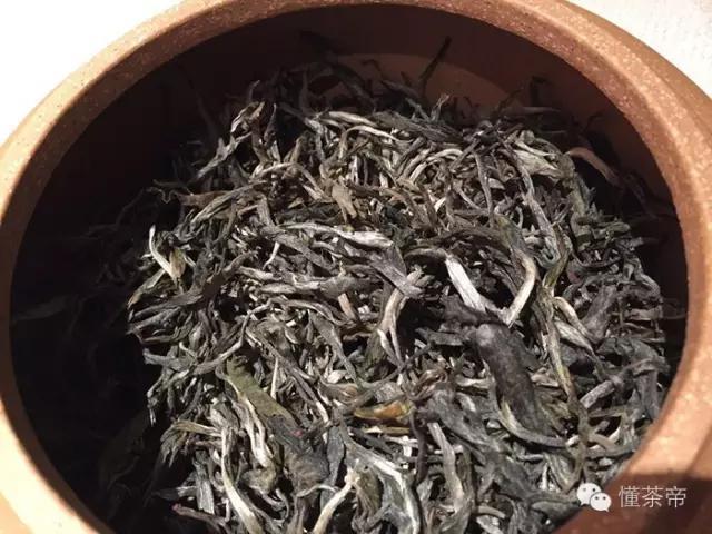 普洱茶分甜茶和苦茶，你知道吗？