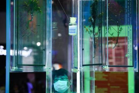 世界防治疟疾日丨中国向疟疾说“不”