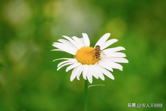 越是高的圈子 越是人捧人，越是低的圈子 越是人踩人