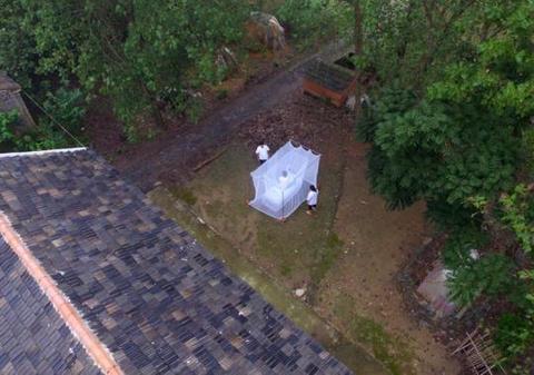 世界防治疟疾日丨中国向疟疾说“不”