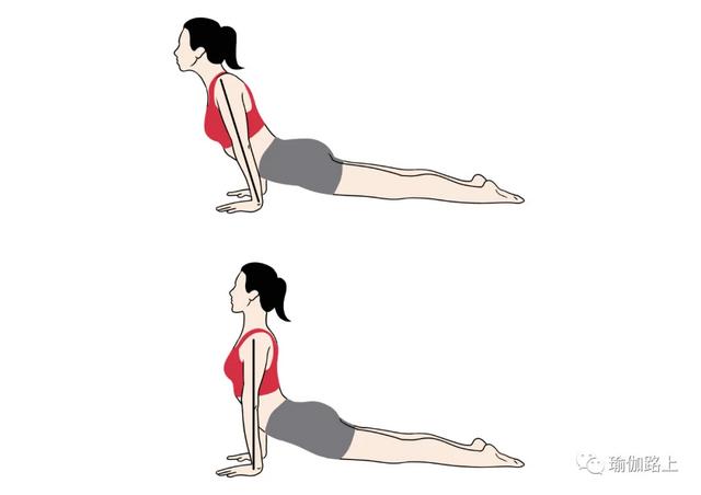 瑜伽「上犬式 」最容易犯的 6 个错误，尤其要注意！