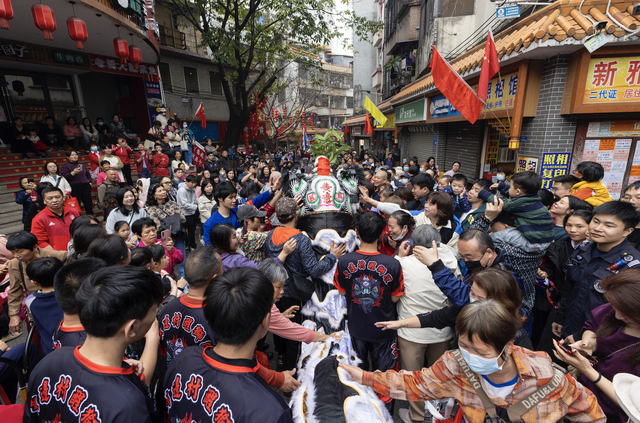 逾50头醒狮齐聚古村！广州三元里上演600年历史元宵盛事