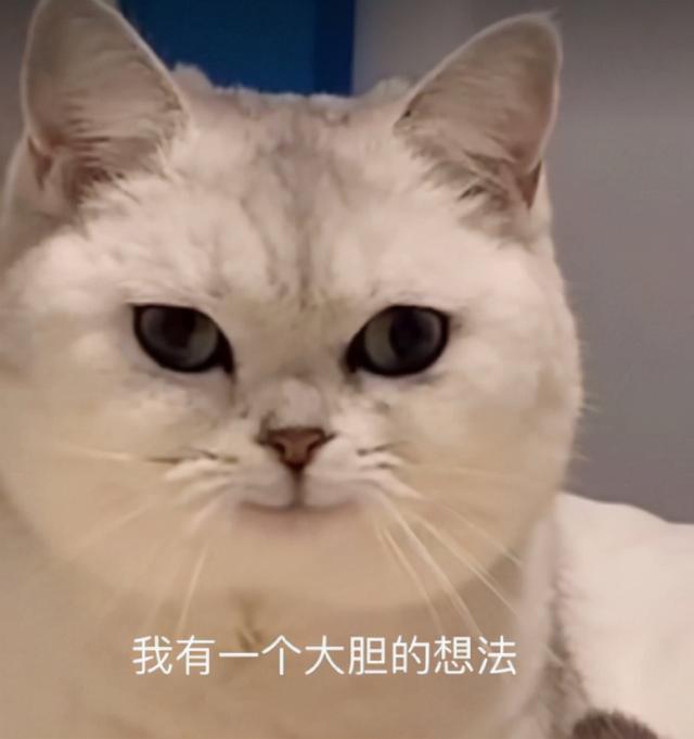 战力被碾压就只能当垫脚石？衡山派的强大之处，你根本无法想象