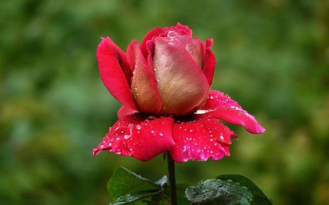 男人对你有这三种反应,就是爱上你了,别不懂