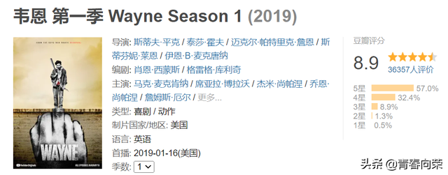 老司机影院:豆瓣均9分!那些敢于跨越禁区的青春系美剧