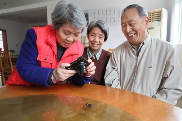 青蛙的外表鸟的嗓子，这个物种中国特有，你见过吗？