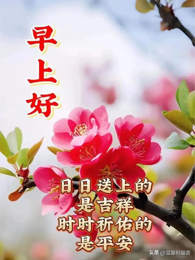 周日早安！群发温馨的早上好问候语创意图片带字，暖心的祝福大全