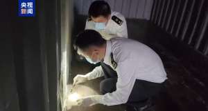 赤背(外来物种、有剧毒 海关截获多只“赤背寡妇蛛”)