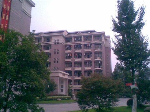 学霸鲁林希：高二放弃清华保送，大三未婚生子，22岁成为哈佛硕士