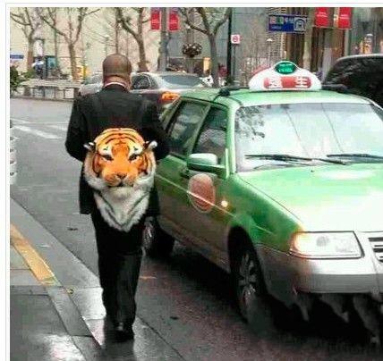 女神和女神经区别在什么地方?