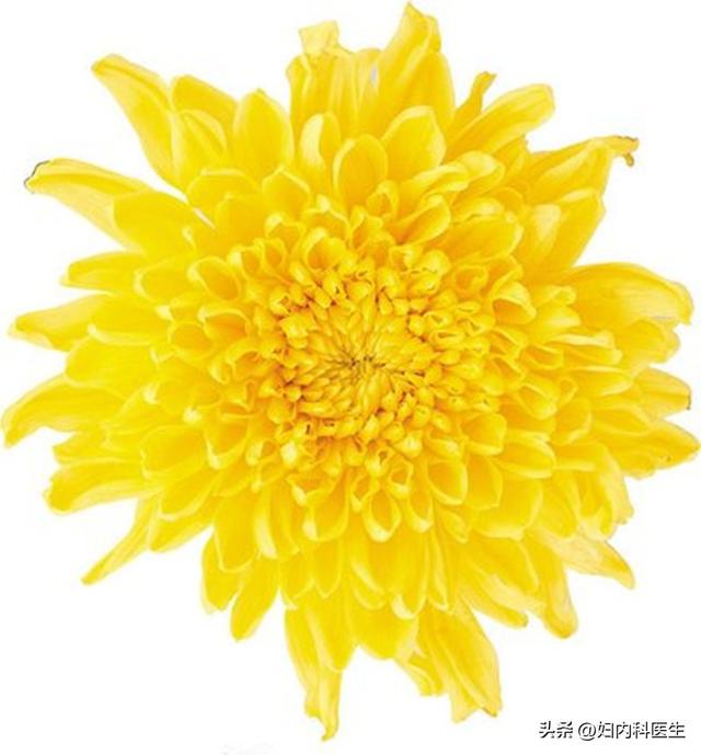 菊花门瘙痒提示是什么病,您可知道?