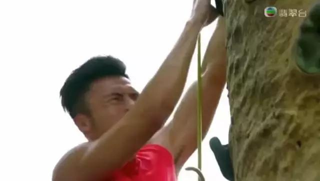 这位治婊专家，成就了TVB十年来最搞笑的剧