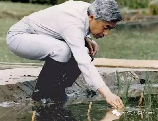 凤凰变麻雀，从公主到普通主妇，她舍弃地位换来想要的生活