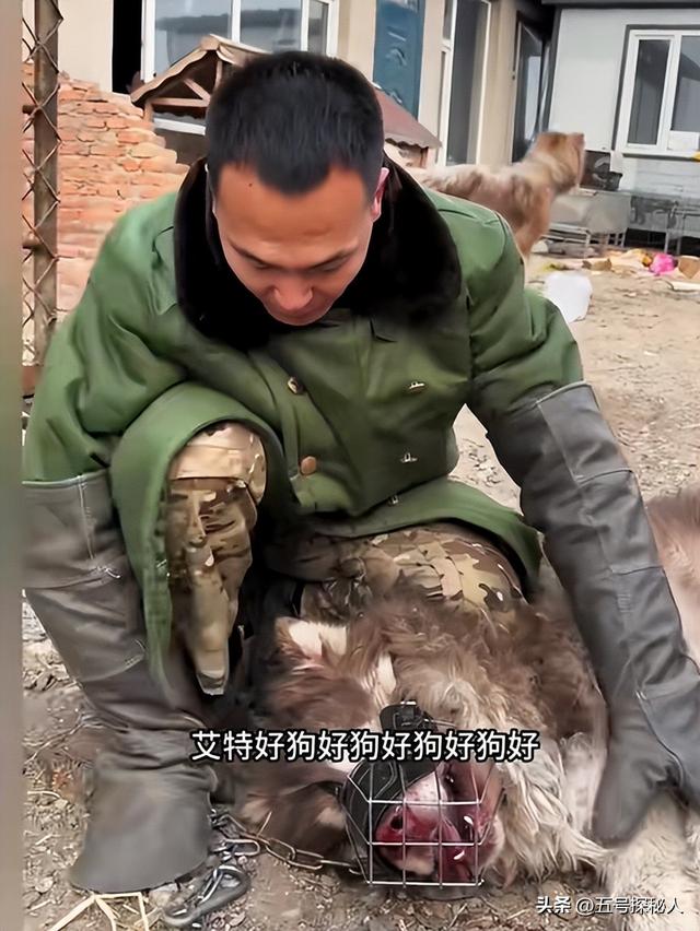 后续！潘宏网红狗艾特洗澡死亡：直播回放流出，拼命挣扎被无视