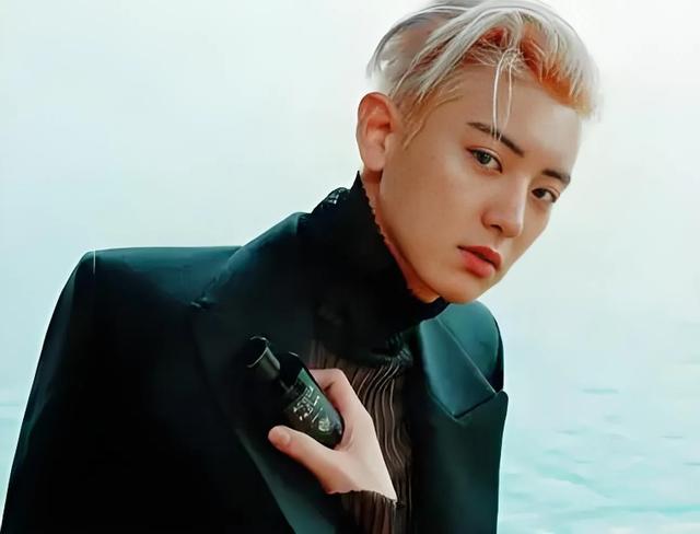 当张艺兴、吴世勋现身朴灿烈演唱会