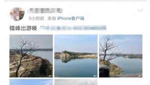 鲁小姐(价格“大跳水”有人3天立省7000元，网友：心动了)