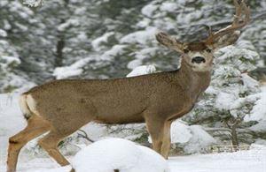 世界25大悬谜：沙滩现数十亿不明生物