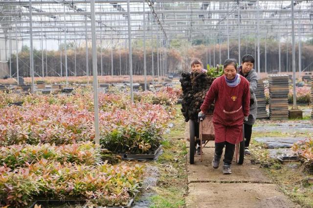 浦城：不误林时   “植”此青绿