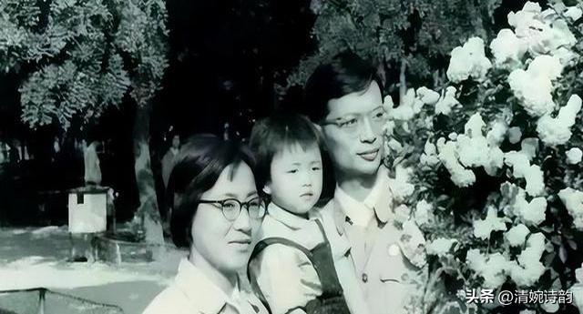 杨澜之子：身高1米85，颜值遗传妈妈