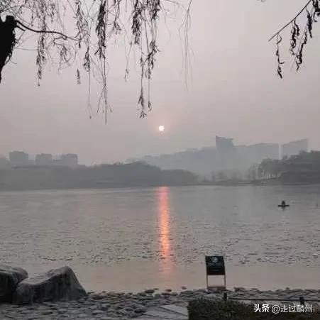又见夕阳红