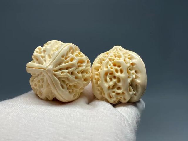 猛犸牙价格一克多少钱？最新猛犸牙价格介绍！