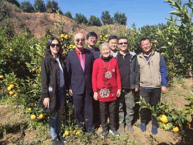 从褚橙到褚柑再到褚酒