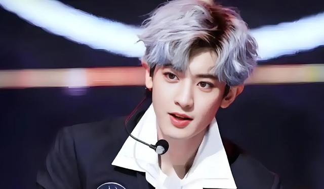 当张艺兴、吴世勋现身朴灿烈演唱会