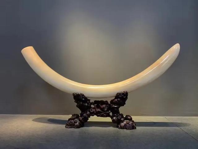 猛犸牙价格一克多少钱？最新猛犸牙价格介绍！