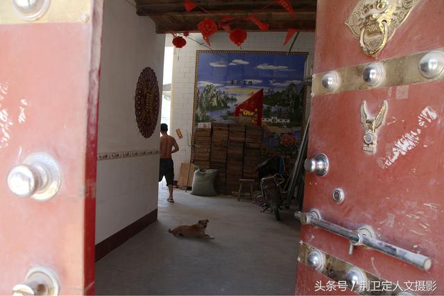 农村蝎子王,15天抓了20多斤野生蝎子能赚8000多元