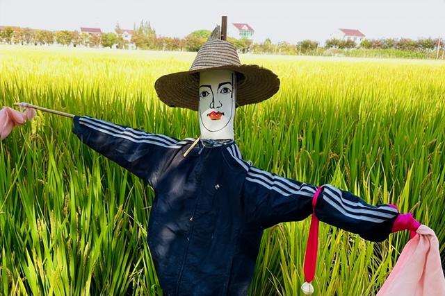 十日谈｜马铃响起时