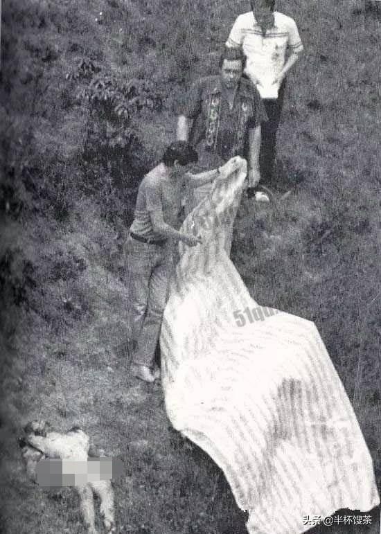 「烟云江湖」未成年人暴力犯罪定刑不容拖迟，回顾80年代港童杀案