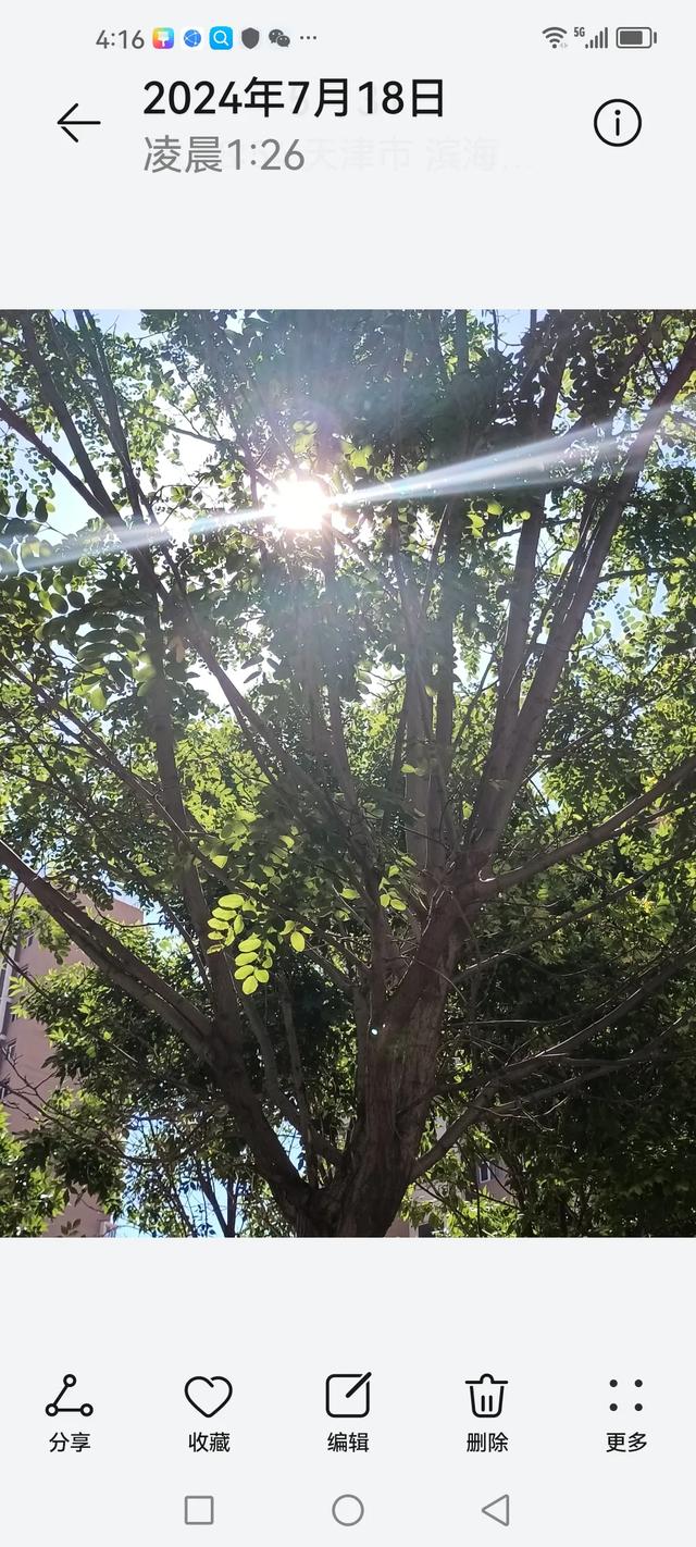 女人缘＿原创小说 [微风][送自己一朵花