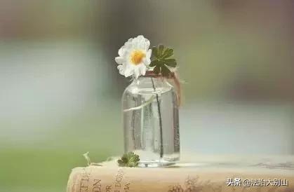 看完王菲、马云的微博才明白：一个人越缺什么，越炫耀什么