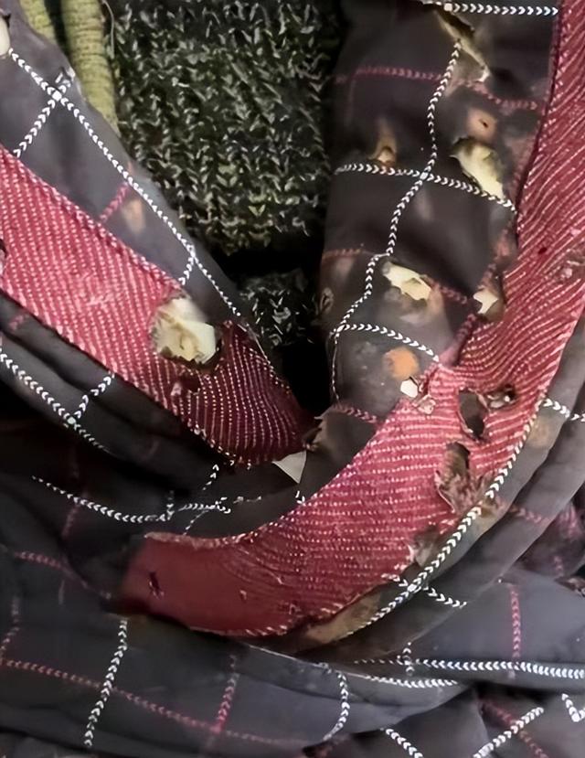 头发花白，衣服全是洞，88岁烟不离手的焦晃，早已走上另一条大道