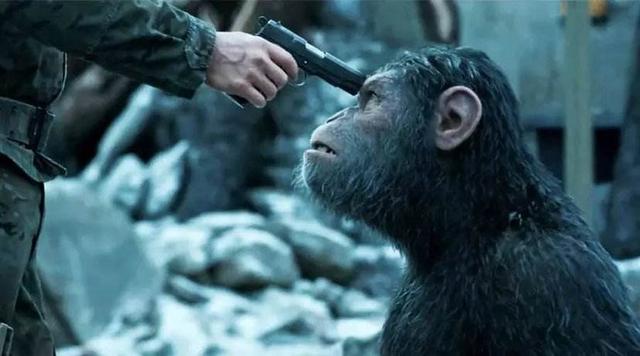 《猩球崛起》三部曲，两大智慧种族碰撞，人类是怎么把自己作没的