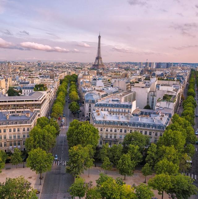 法国男医生性侵33个越南男孩，引渡回国后，法院却把他放走了