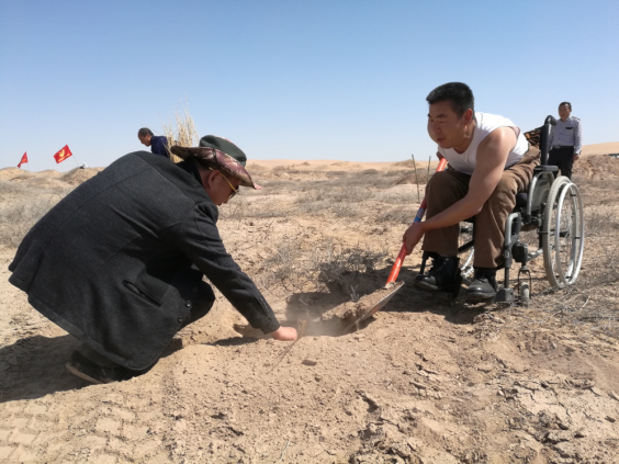 数十万人众筹“沙瓜先生”，助力民勤产业治沙