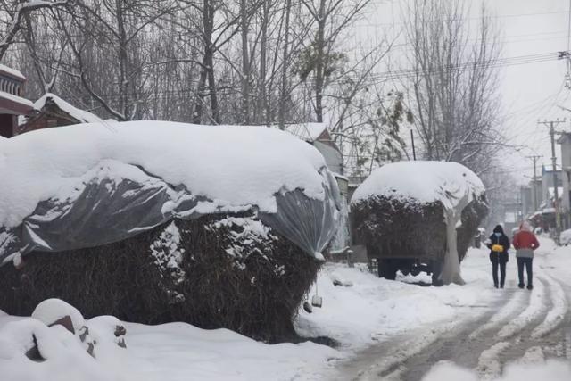 乡村纪事:我的贤妻——春兰