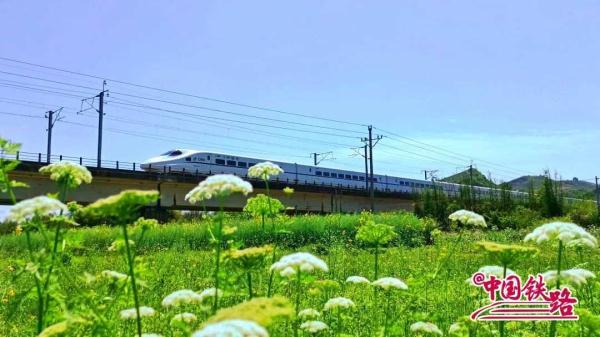 夏日限定火车风景，是浪漫的味道