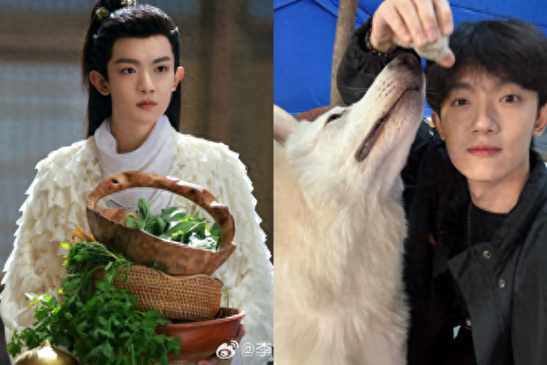 《玉骨遥》男星被旧爱控「把狗的头往地上摔」 人设翻车:连爸妈都骂