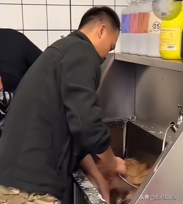 后续！潘宏网红狗艾特洗澡死亡：直播回放流出，拼命挣扎被无视