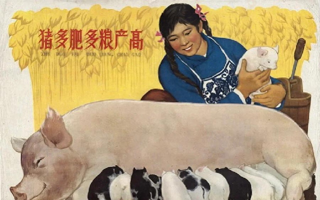 【晚清风情录】老照片中的花楼女子丰乳肥臀，30张尽显绝代风姿