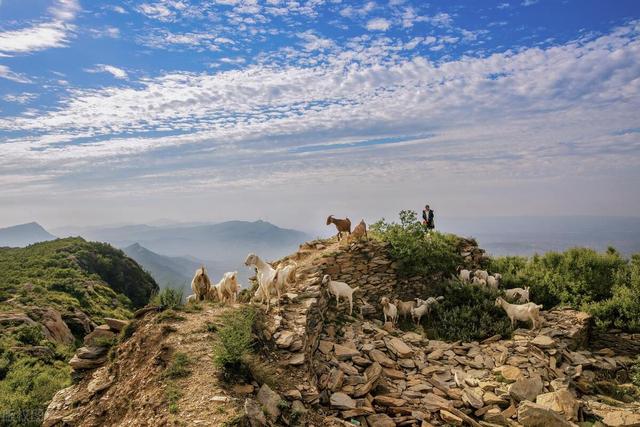 “红”、“宏”、“鸿”、“弘”、“虹”字的解析