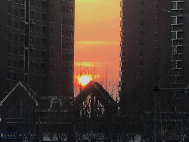 “我和我的家乡”摄影大赛|山东政法学院杨静怡:共迎家乡之变