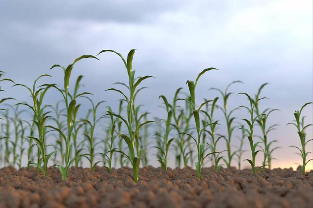 “发不发，就看十月十八”，明日十月十八啥日子？有何讲究说法？