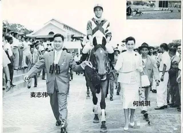 与堂弟不伦生子，与亲哥反目成仇，她是赌王晚年最痛恨的妹妹